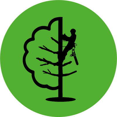 Travaux d'élagage